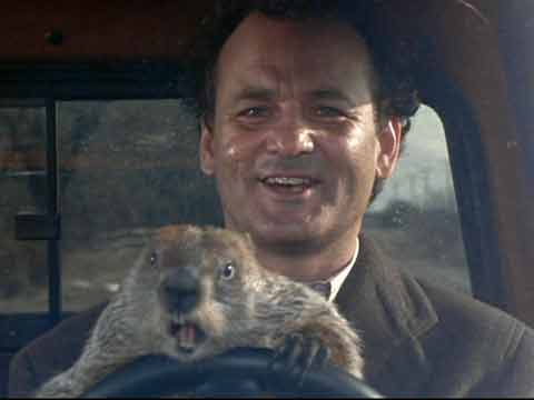 
Bill Murray and groundhog - Groundhog Day DVD
